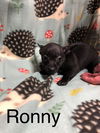 Ronny aka Ronnie now Maggie