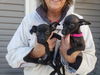 Ronny aka Ronnie now Maggie
