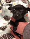 Cammie now Cocoa