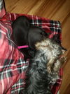 Cammie now Cocoa