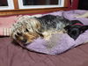Cammie now Cocoa