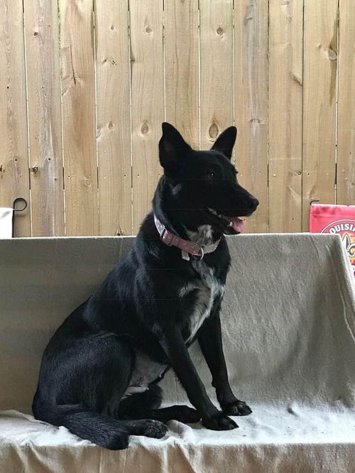 Angel (nka) Maisy