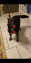 Angel (nka) Maisy