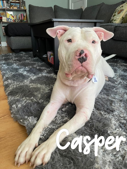 Casper