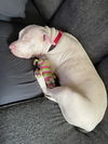 Casper