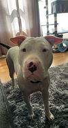 Casper