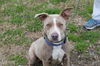 Willa now Winnie