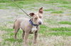 Willa now Winnie