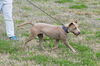 Willa now Winnie