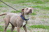 Willa now Winnie