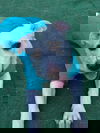 Anistyn