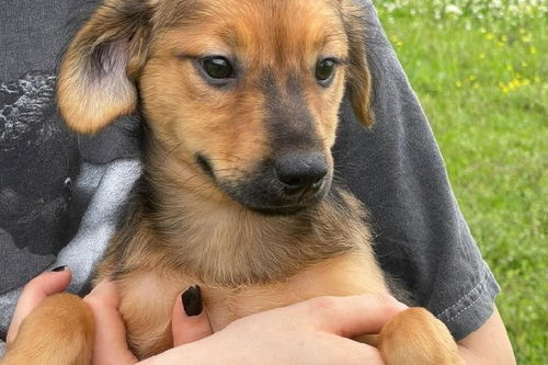 Willa now Winnie