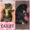 Cailey now Thea