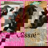 Cassie now Abby