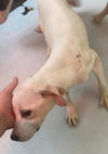Casper Junior