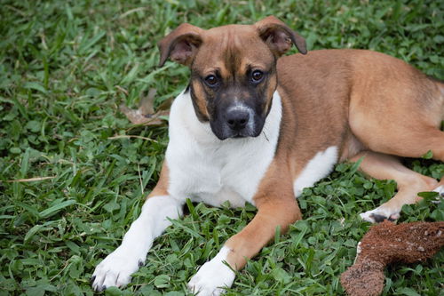 Fiona