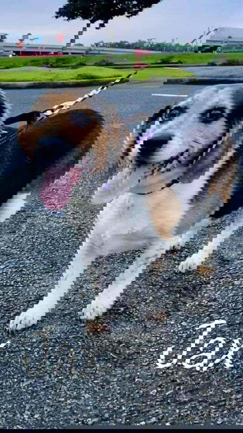 Jax