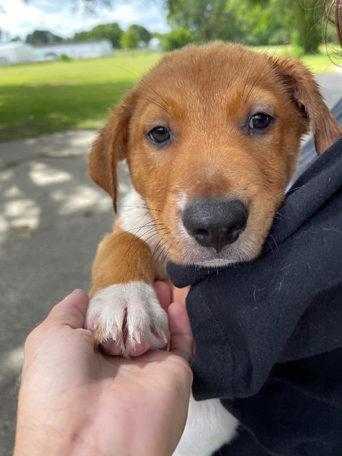 Mack (nka Luigi)