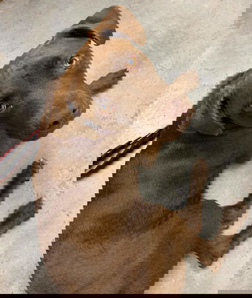 Charlie
