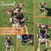 Caramel
