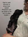 Phantom