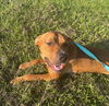 Charlie