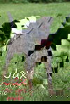Jax