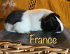France