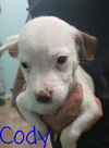 Cody (nka) Otis