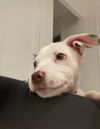 Cody (nka) Otis