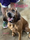 Maggie