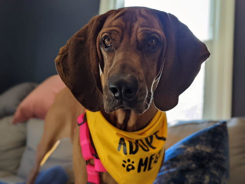 Maggie