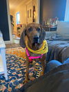 Maggie