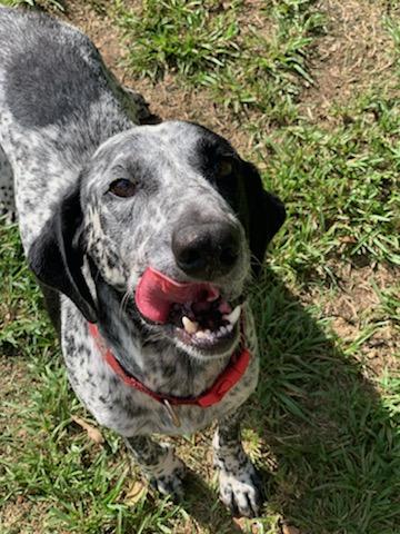Sammie - No more applications please!