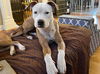 Peaches - Available!