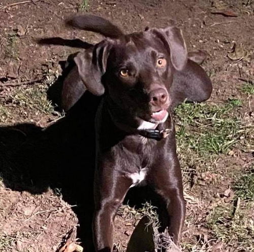Charley