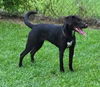 Charley