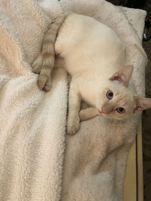 FRANKIE