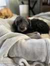 Pepper