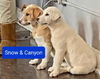 Canyon now Apollo