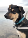 Mack (nka Hudson)