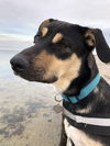 Mack (nka Hudson)