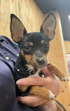 Peanut (nka Winnie)