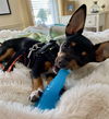 Peanut (nka Winnie)