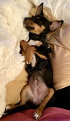 Peanut (nka Winnie)