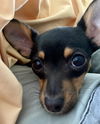 Peanut (nka Winnie)
