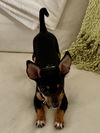 Peanut (nka Winnie)