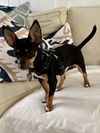 Peanut (nka Winnie)