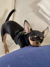 Peanut (nka Winnie)