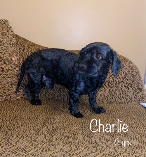 Charlie